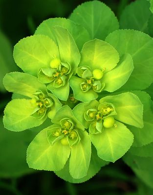Shayeret-Yehiam_24-2-2025 (143).JPG