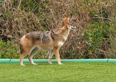 Nahariya_19-2-2025 (48).JPG