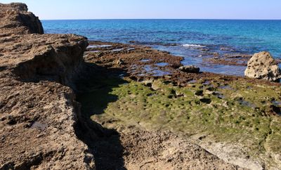 Ahziv_3-1-2025 (21).JPG