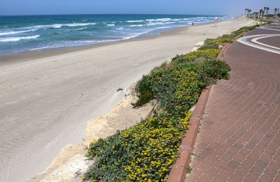 Kiryat-Yam_2-4-2025 (60).JPG