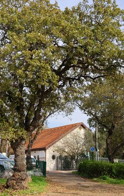 Kiryat-Tivon_16-1-2025 (27).JPG