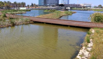 Petah-Tikva_10-3-2025 (14).JPG