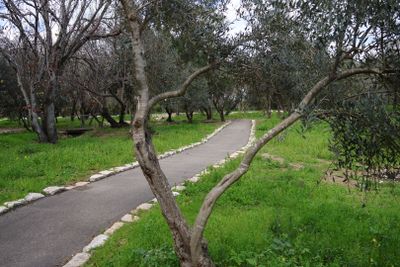 Shayeret-Yehiam_24-2-2025 (13).JPG