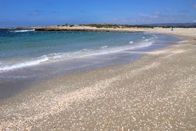 Habonim-Dor