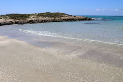 Habonim-Dor