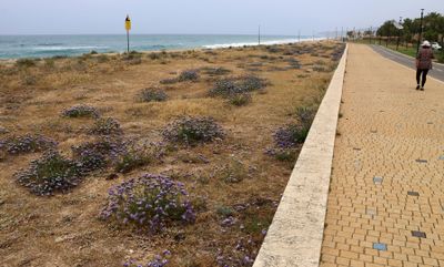 Nahariya 2025