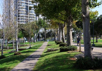 Petah-Tikva_10-3-2025 (51).JPG