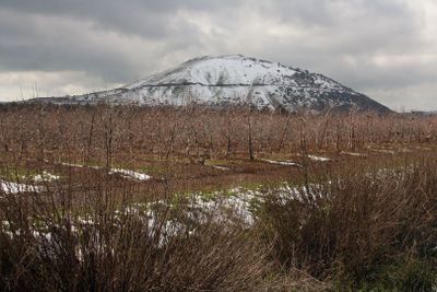 Golan