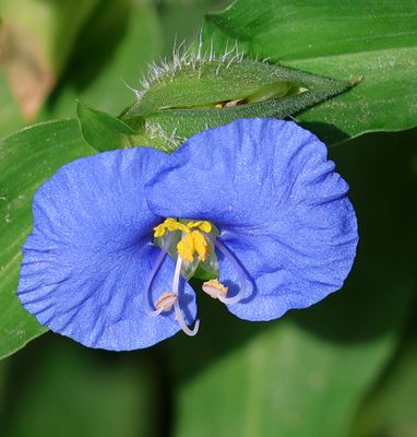 Home-Garden_13-5-2025 (15).JPG