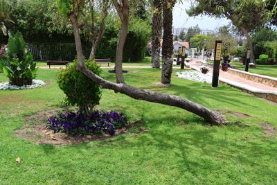 Nahariya_15-5-2025 (30).JPG