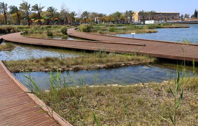 Petah-Tikva_10-3-2025 (16).JPG