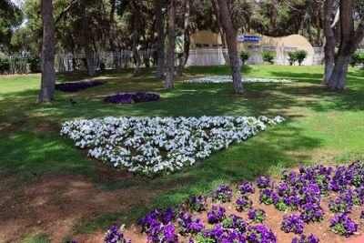 Nahariya 2025