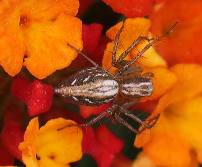 Kiryat-Bialik_8-4-2025 (45).JPG