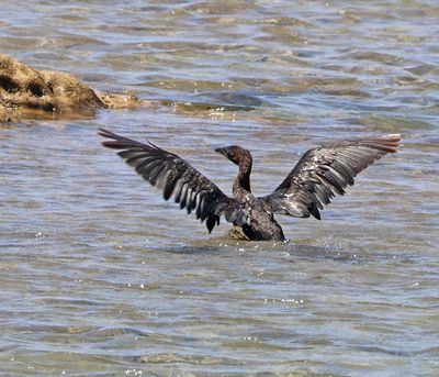 Ako_5-6-2025 (40).JPG