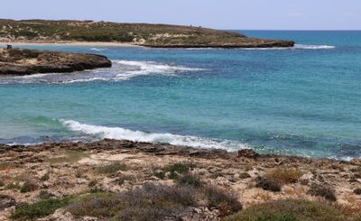 Habonim-Dor