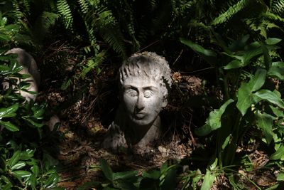 Oranim-Botanical-Garden