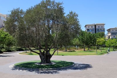 Kiryat-Motskin