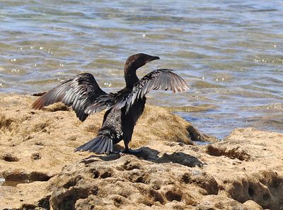 Ako_5-6-2025 (60).JPG