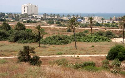 Ako (Acre)