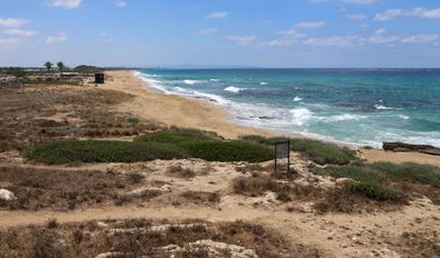 Ahziv_14-7-2025 (51).JPG