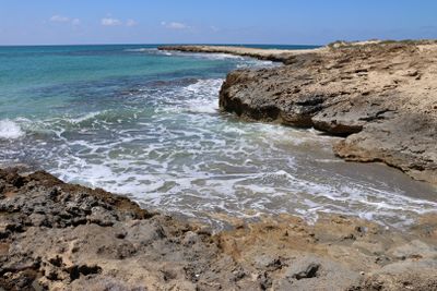 Habonim-Dor