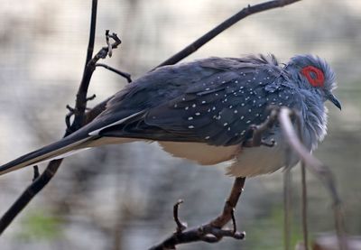 Zoo-Botanical Garden Nahariya
