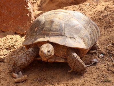 Nahariya-Botanical-Garden_20-10-2025 (10).JPG