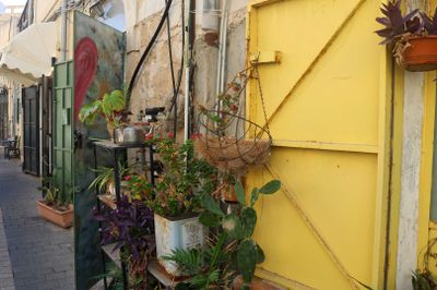 Yafo_21-23-10-2025 (80).JPG