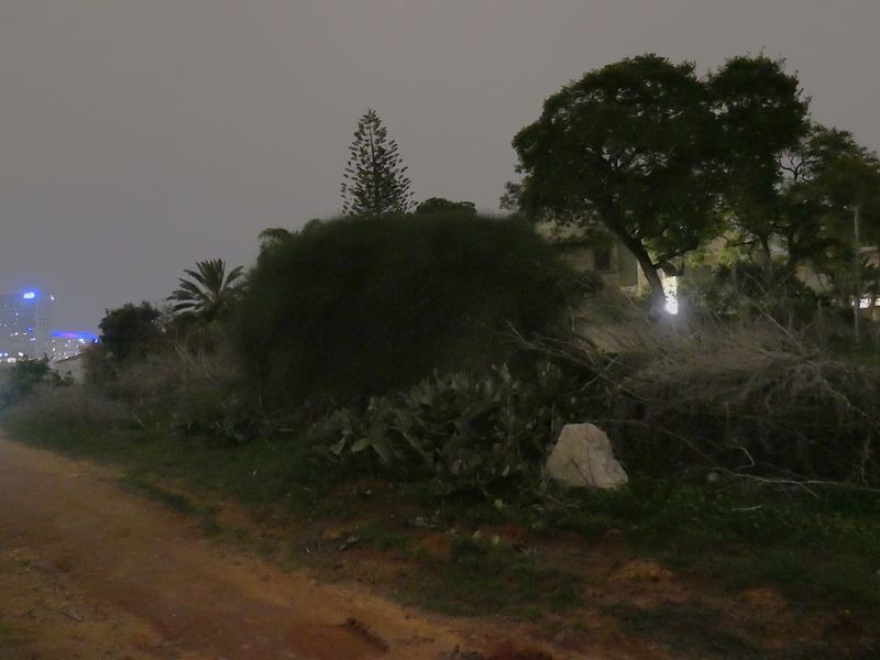 night_shots