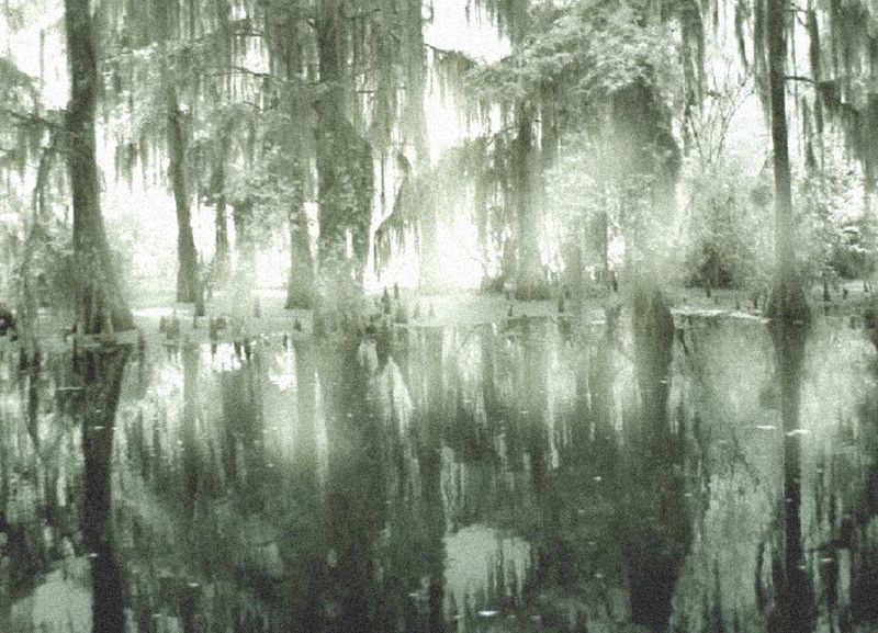 bayou 024a altered.jpg