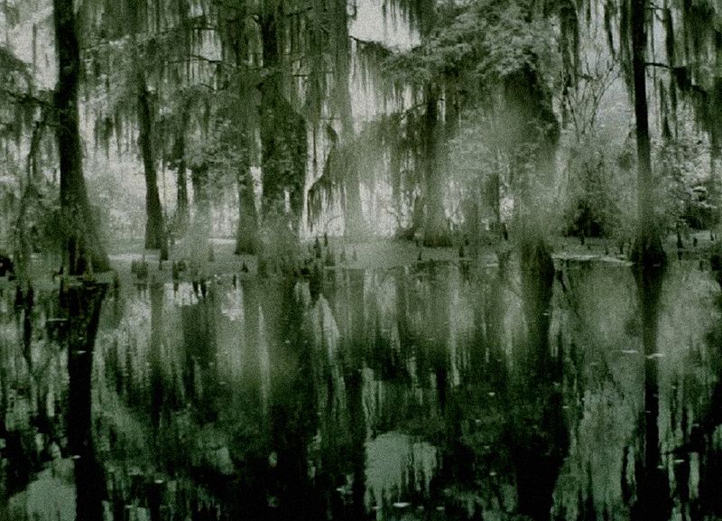 bayou 024a altered2.jpg