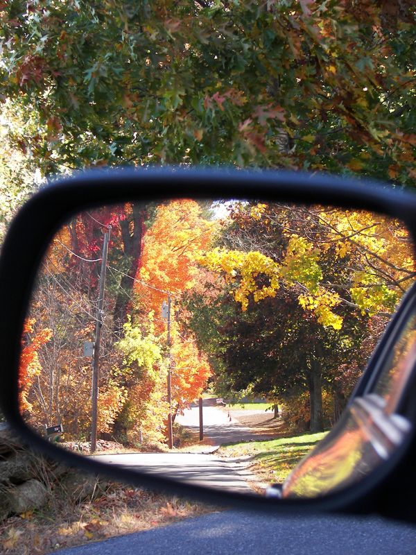 rearview.jpg