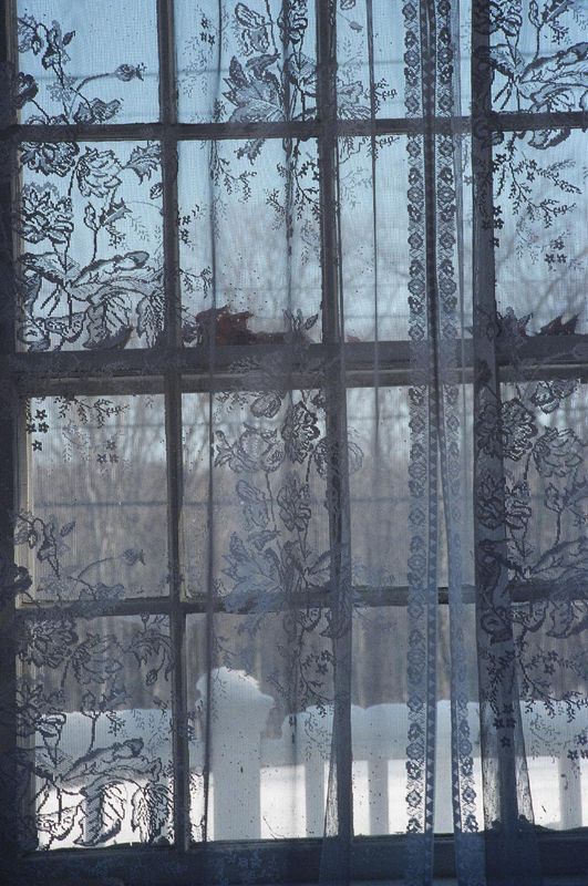 lacey front window.jpg