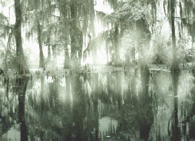bayou 024a altered.jpg by j_person