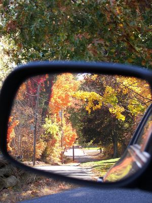 rearview.jpg by j_person