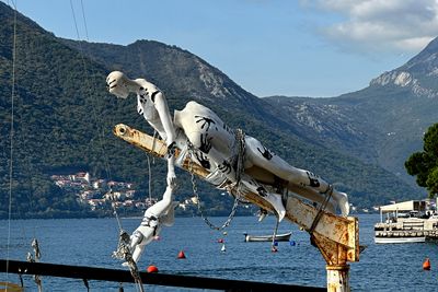 IMG_8131.JPG
