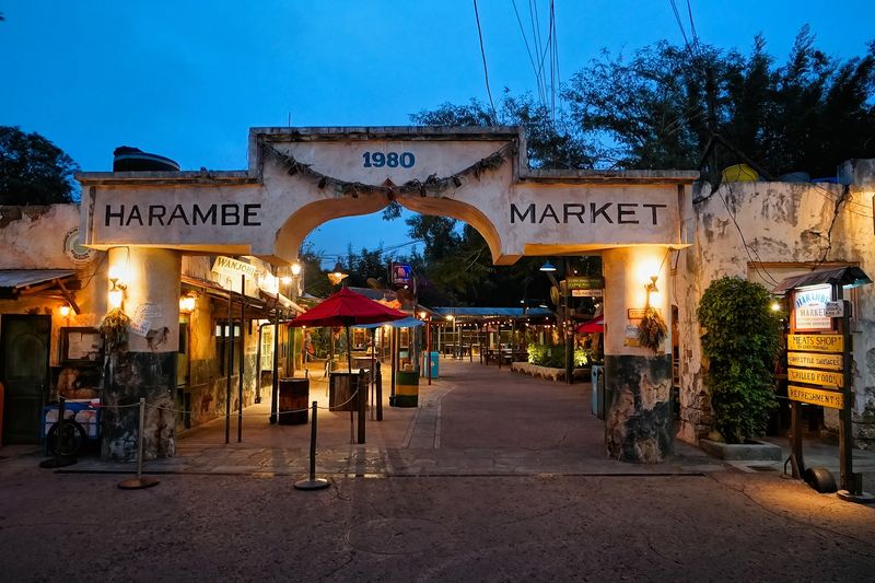 Harambe Marketplace at night