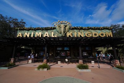 Animal Kingdom entrance