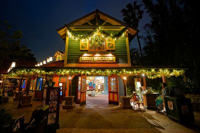 Animal Kingdom store at night