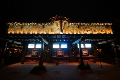 Animal Kingdom entrance at night