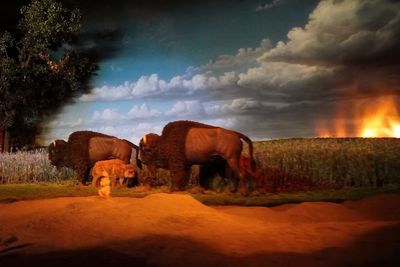 Living with the Land