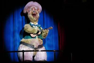 Country Bear Jamboree - Terrence 'Shaker'