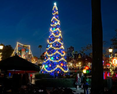 DHS Christmas tree