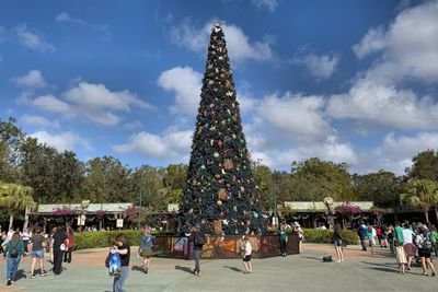 Animal Kingdom Christmas tree