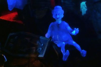 Ghosts of Haunted Mansion