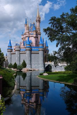 Magic Kingdom Gallery