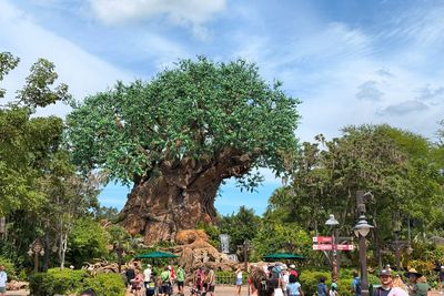Animal Kingdom Tree of Life