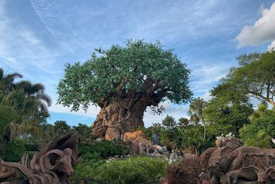 Tree of Life