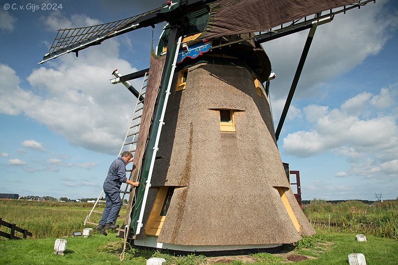 Doeshofmolen