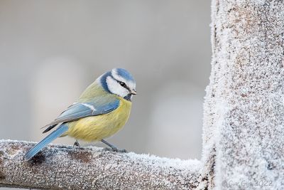 g13/49/747649/3/173255995.3baffdae.JPEG
